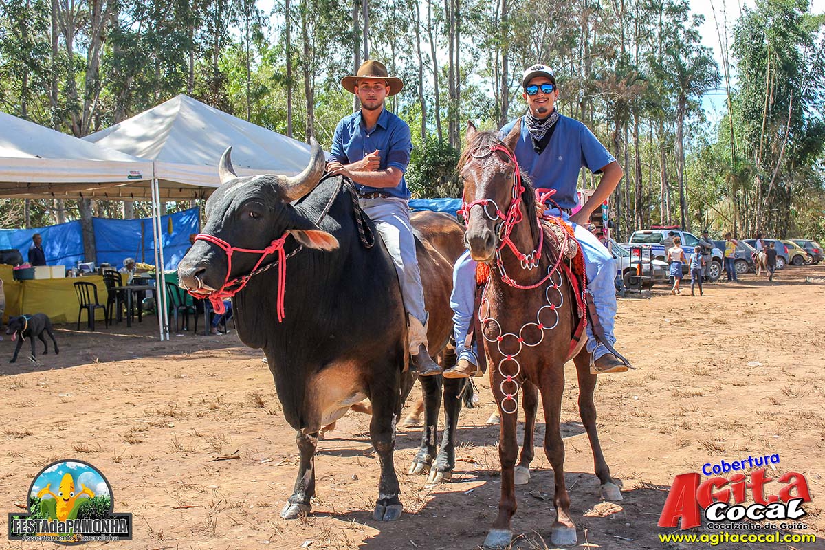 Festa da Pamonha (3 Dia)